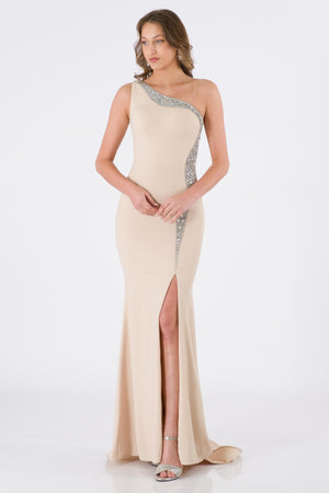 Antona Beige Dress Dress