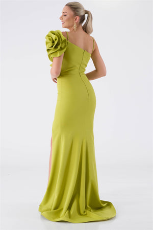 Carla Peanut Green Evening Dress