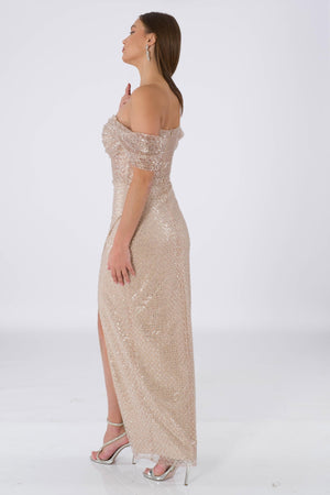 Stephani beige evening dress dress